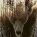 Al Foote - Facebook