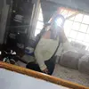 Alexis Alford - @alexis_alford - TikTok