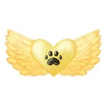 Alford's Angels Dog Grooming - @alfordsangels - Instagram