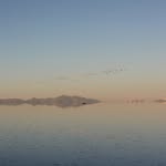 Alforrest - @alphrast - Instagram