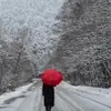 Alexander Fowler - @35nv81li - TikTok