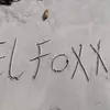Al foxx - @al.foxx5 - TikTok