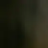 muhammedhosni162 - @alfoxxxx - TikTok