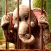 ALFriend - @aalfriend - TikTok