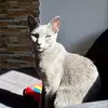 alfunk - @alfunk6 - TikTok