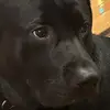 ALFUNKA - @ava.kahlee - TikTok