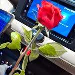 عبدالله الجبل - @_abdullah_algabel - Instagram