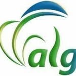 Algain Energy srl - @algainenergy - Instagram