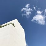 Albusgallery - @albusgallery - Instagram