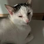 Soul_Defiler48 - @lord_algammon68 - Instagram