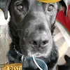 algatz - @algatz2012 - TikTok