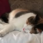 Gerd Algeyer - @algeyerg - Instagram