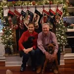 @al.gibbons_ - Instagram
