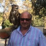 Александр Гильман - @algilmangmailcom - Instagram