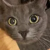 algilman_ - @algilman_ - TikTok