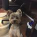 Al Glick - Facebook