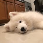 @algohlic - Instagram