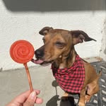 Albus Dobey Gonzalez - @algonzo_1 - Instagram