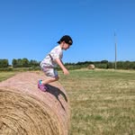 Al Goode - @algoode75 - Instagram