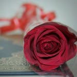 🌹...الــجـــوري...🌹 - @al_algoree - Instagram