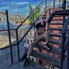 vfpfafrfs98 - @al.grandy - TikTok