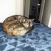 Alex Grantham - Facebook
