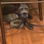Al Graves - @al.graves.31 - Instagram