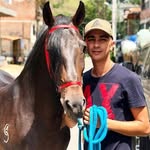 Fans_alejandro_el_grillo - @fans_alejandro_el_grillo - Instagram
