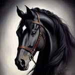 AL GUNDY - @4013ayman - Instagram