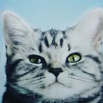 Alex K - @al_guy_1210 - Instagram