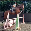 Alex Hadley - @alexhadley33 - TikTok