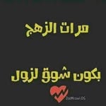 رافت الفاتح - @rafat_alhagan - Instagram