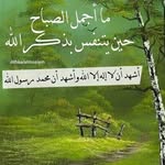 alhager_a - @alhager_a - Instagram