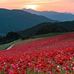 Al Hak - Facebook