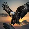 سلطانة الروح - @alhakim.02 - TikTok