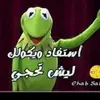 alhal - @alhal016 - TikTok