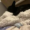 Alannah Allman - @alannah.allman4 - TikTok