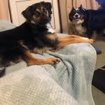 Alison Halstead - @ali.halstead - Instagram