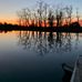Alyce Halstead - Facebook