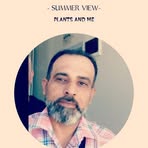 Jamal Al-Hamood - Facebook