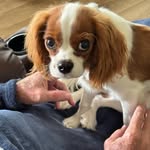 Al Hampton - @ahmiller37 - Instagram