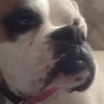 Ryker7 - @alhampton08 - Instagram