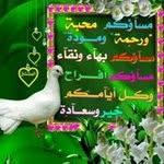 امين الهندي - @amen.alhandy - Instagram