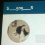محذوف الحساب - @salem_alhaney - Instagram