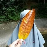 al_hannah - @ruseeyan - Instagram