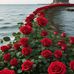 Al Hannah - Facebook