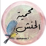 محمية الحنش🕊 - @alhansh.7 - Instagram