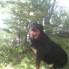 Allen Harding482🇨🇦 - @allenharding482 - TikTok