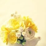 amal alharman - @amal_alharman - Instagram