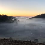 Al Harvey - @alistairharvey - Instagram
